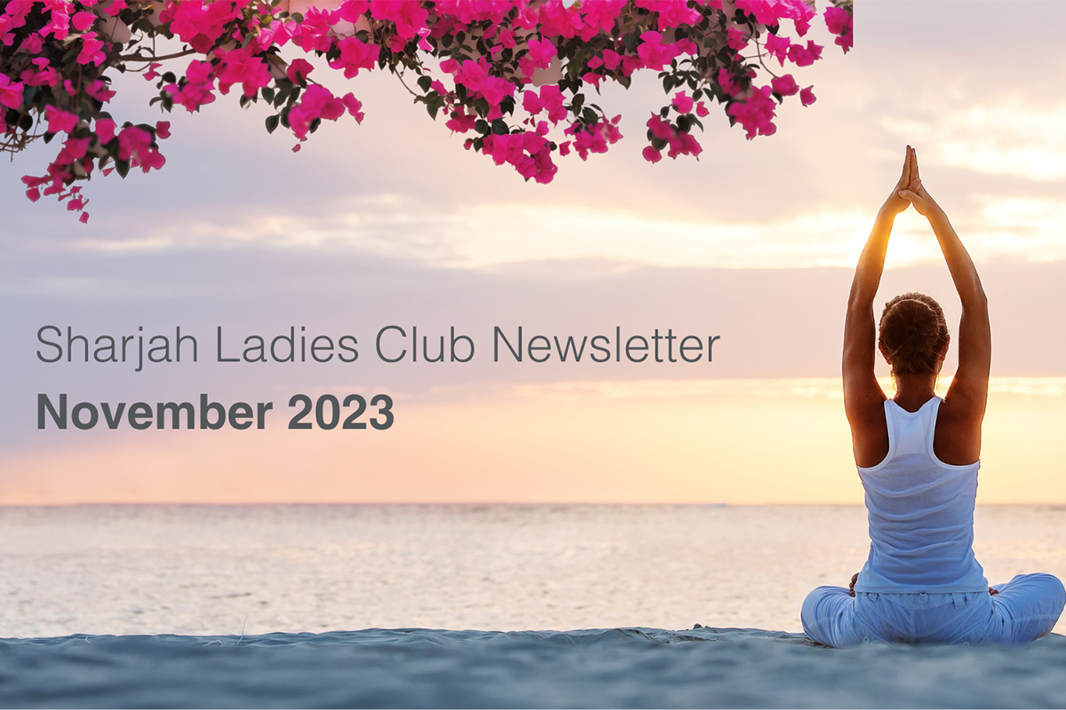 SLC Newsletter | November 2023