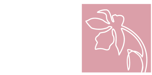 أوركيد بوتيك الجمال