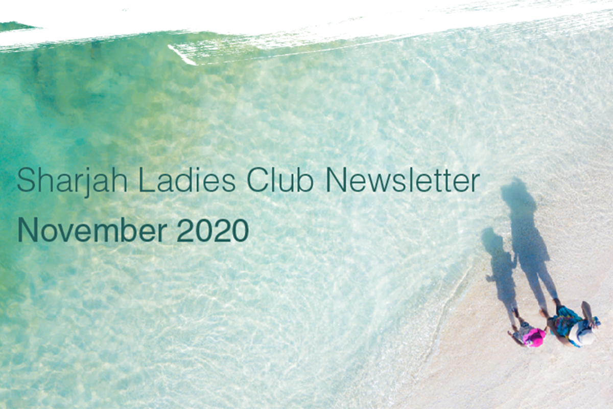 SLC Newsletter | November 2020